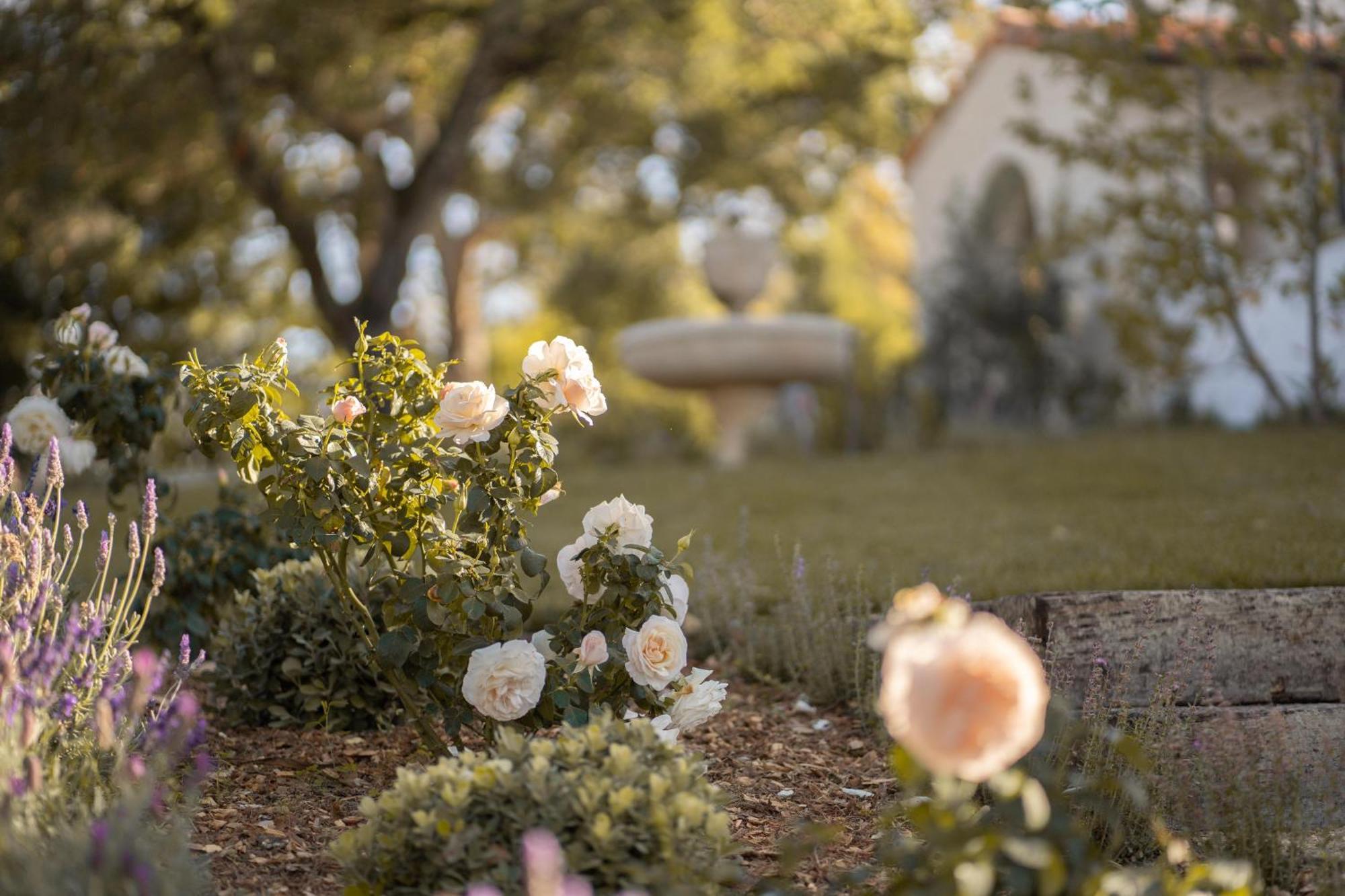 Exquisite Estately Villa Woodside エクステリア 写真